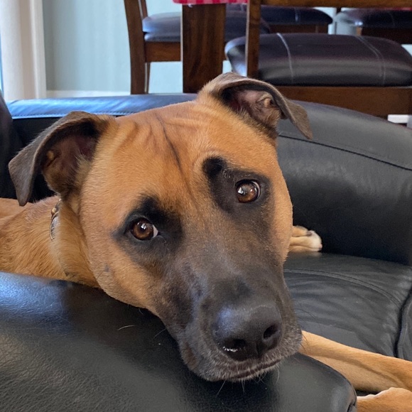 Meet your Posher, Kenneth - Picture 1 of 1